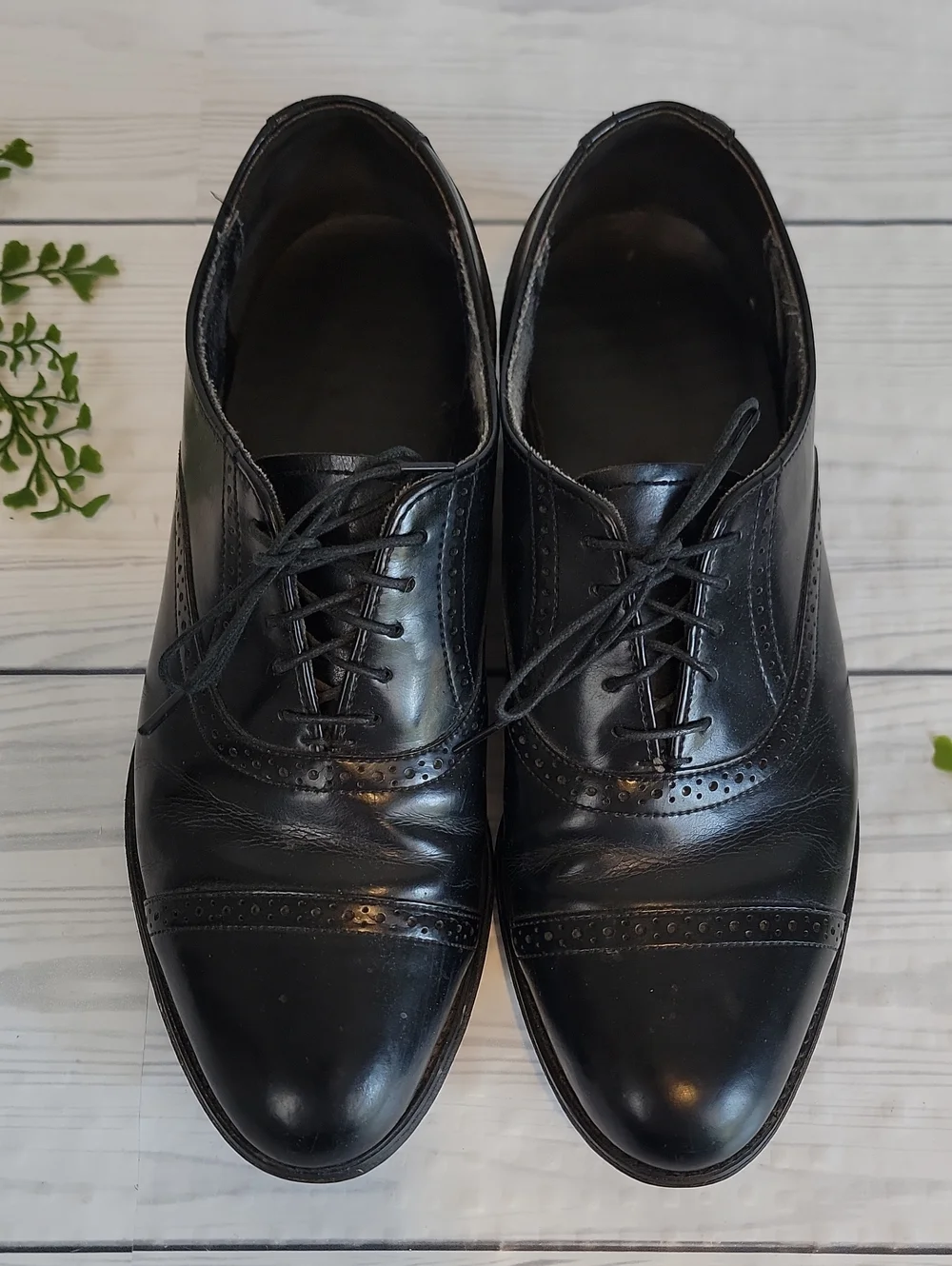 Dexter timeless black